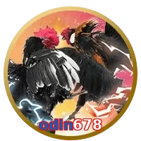 odin678