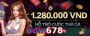 odin678